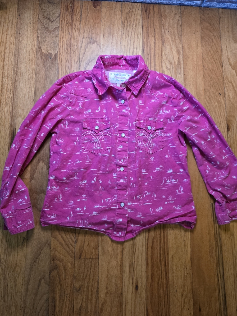 Panhandle Slim Girls Pink Western Snap Shirt Desert Print Long Sleeve Size Small